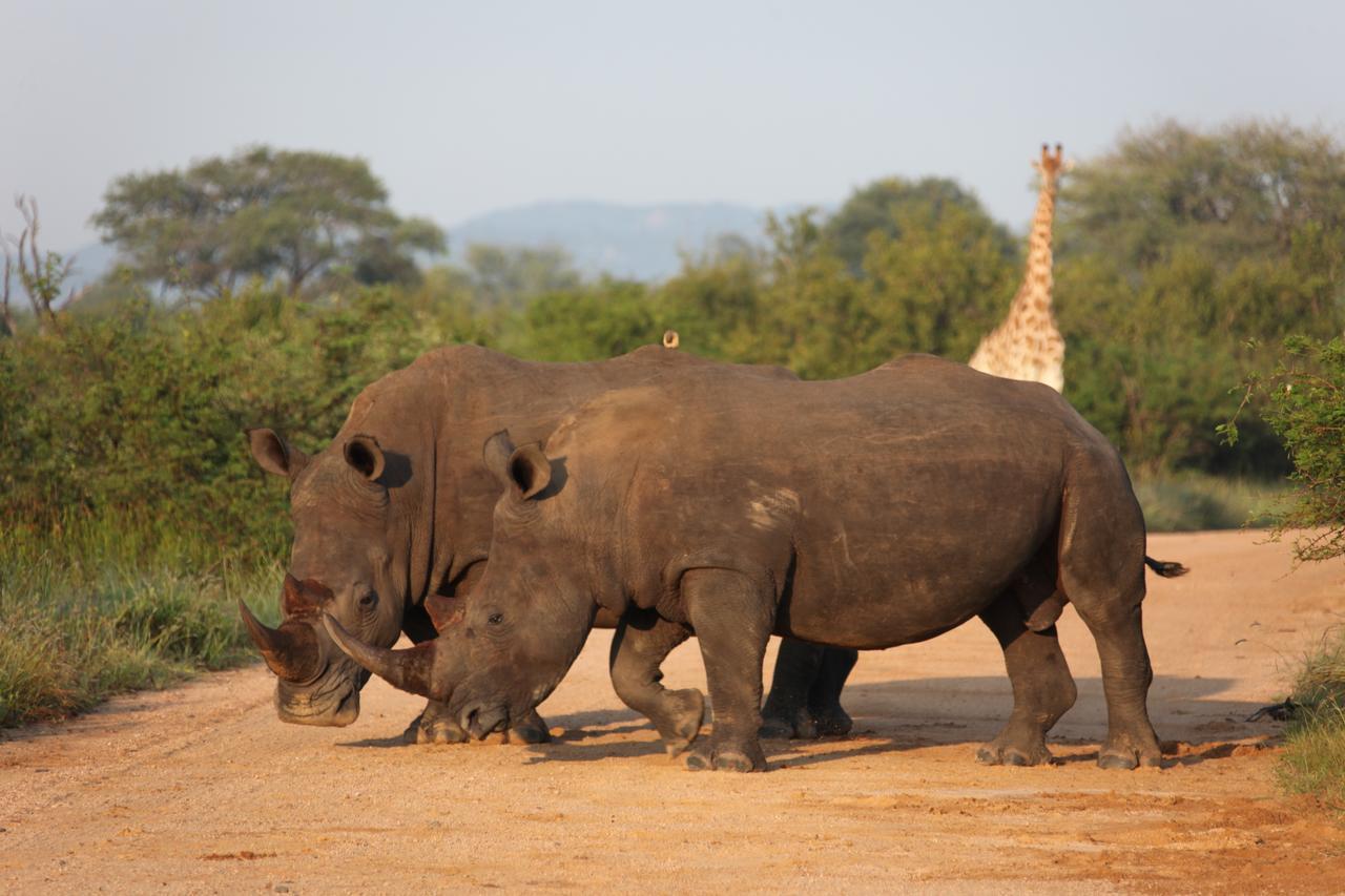 Rhino Ridge Safari Lodge KwaNompondo Exterior foto